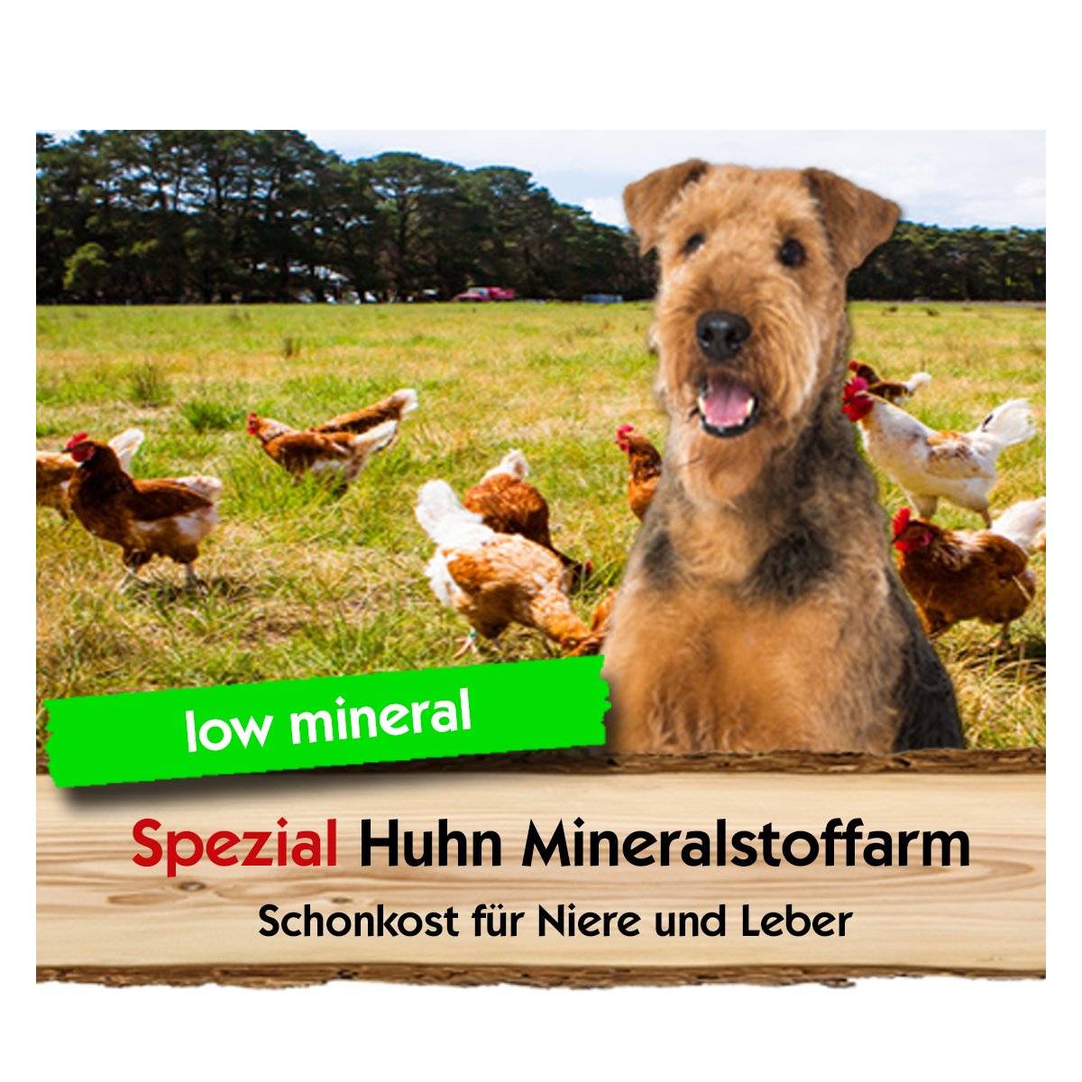 Spezial Huhn Mineralstoffarm