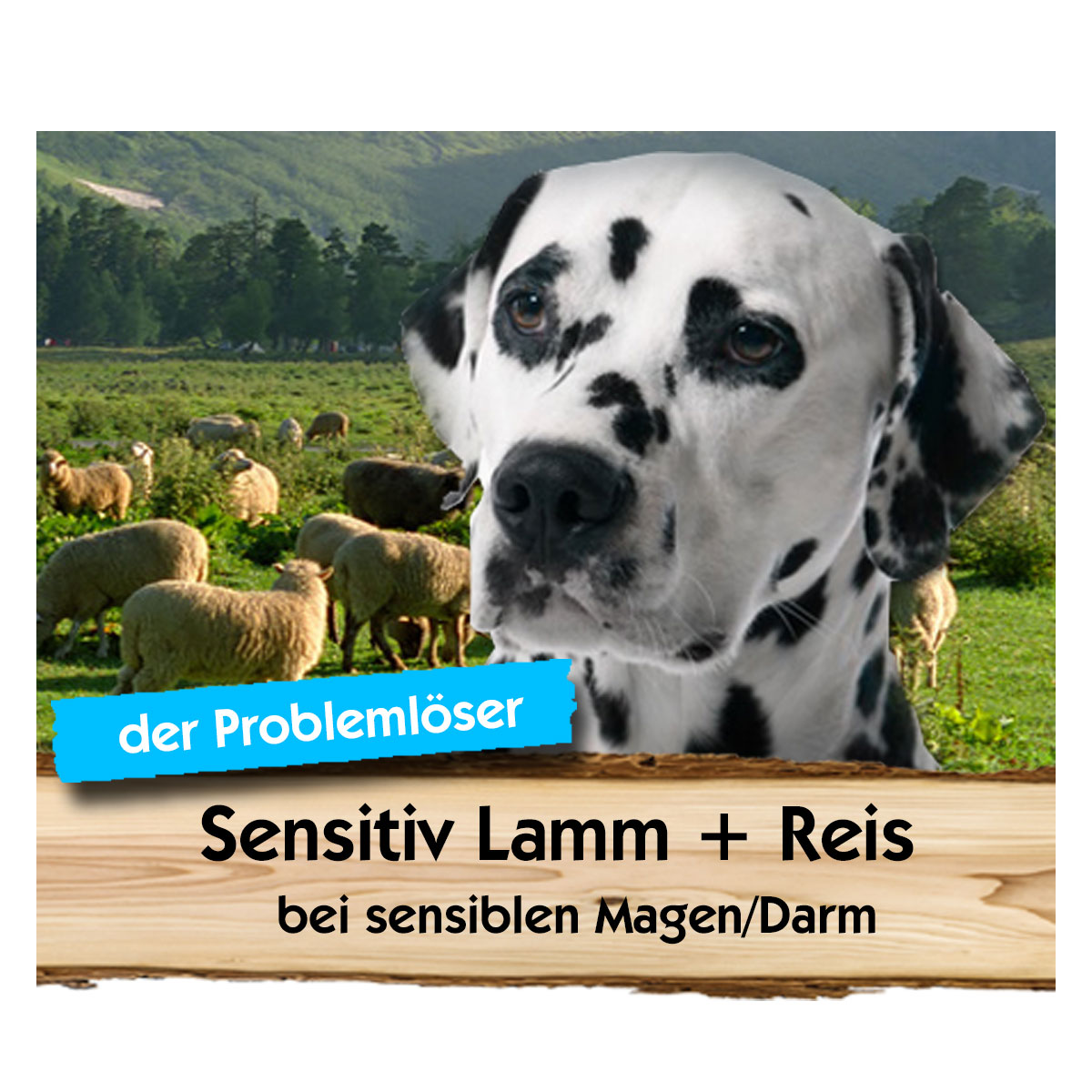 Sensitiv Lamm + Reis