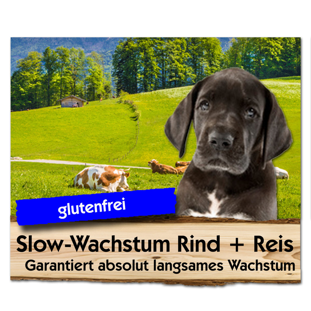 Slow Wachstum  Rind + Reis | Max Hamster