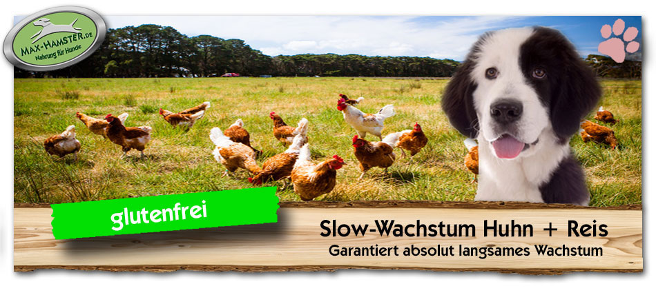Welpenfutter-Slow-Wachstum-Huhn-Reis-Max-Hamster