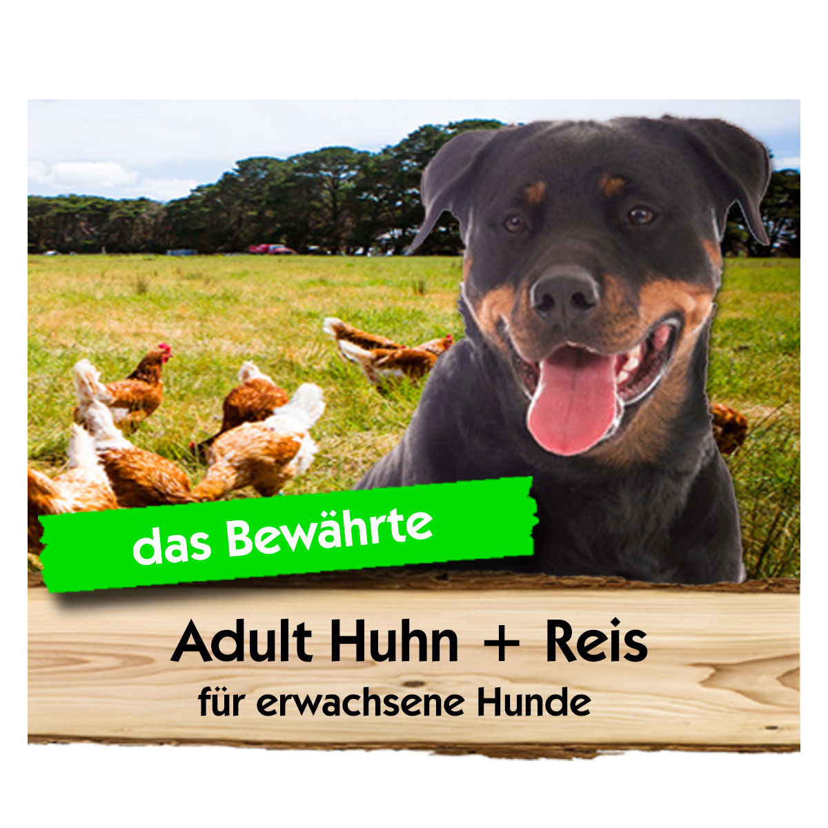 Adult  Huhn + Reis