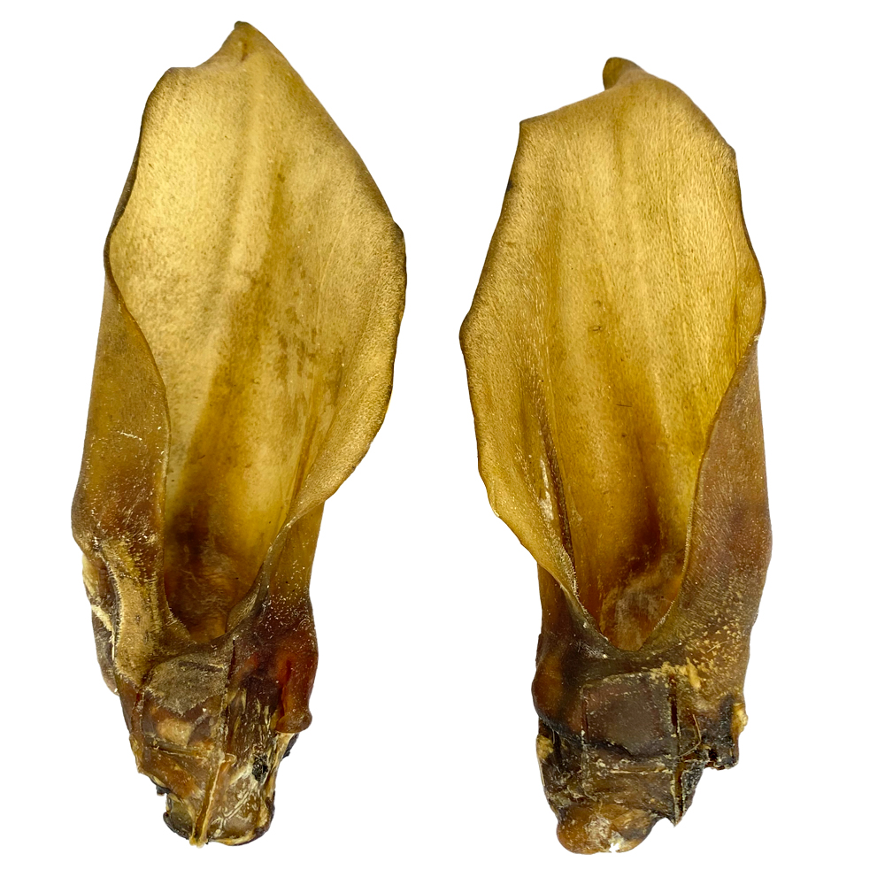 Hirsch-Ohren mit Muschel